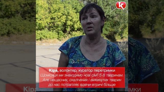 Як опікуються безпритульними тваринами у Краматорську смотреть онлайн