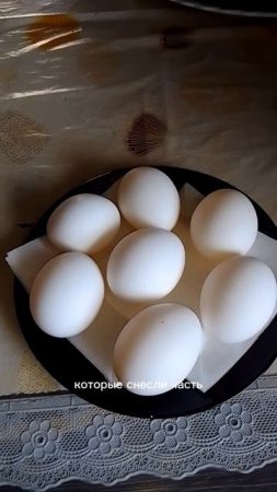теперь у нас в продаже есть домашнее куриное яйцо