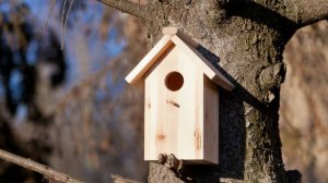 31.01.2025 Первые пробные прилеты.