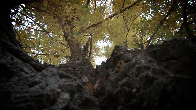 Рустем Муртазин - "Без тебя" смотреть онлайн