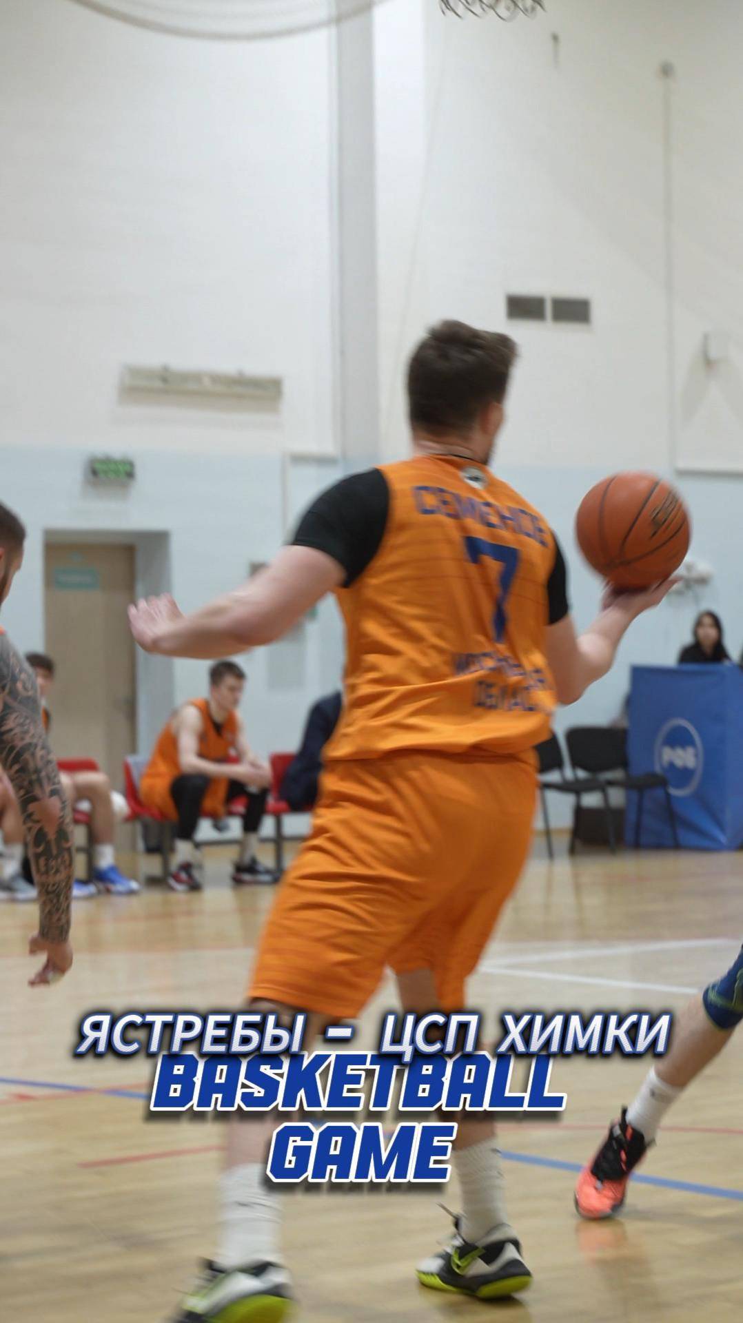 БАСКЕТБОЛ Ястребы - ЦСП Химки