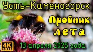 Усть-Каменогорск: Пробник лета. (4К), 13 апреля 2025 года.