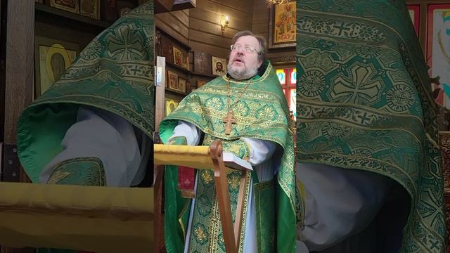 #вербное воскресение #неделя ваши #протоиерей Александр Пелин смотреть онлайн