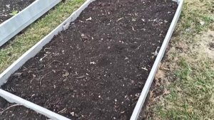 Погода портится, вчера в майке - сегодня в фуфайке. Хейтерам не понравилось моё возвращение 😉