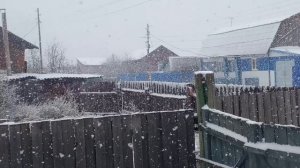 Снежок в апреле . Шаралдай