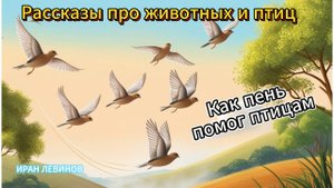 Как пень помог птичкам. Как надо заботиться о животных и птицах, помогать им. Стихи детям. Левинов И