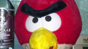 Коты #тусят