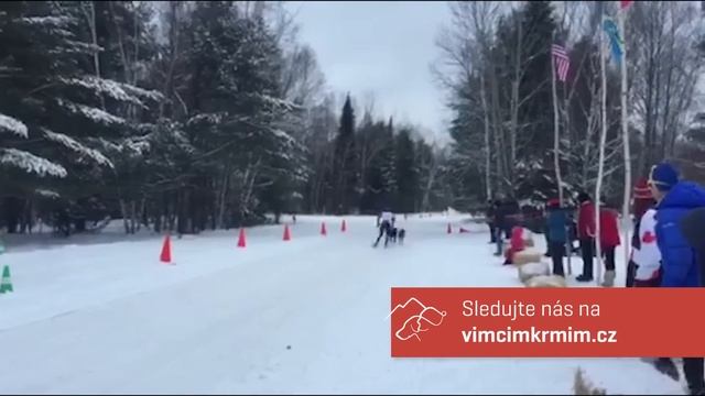 Fitmin tým vloguje – Michal, Kvap a Basta vystartovali pro medaili смотреть онлайн