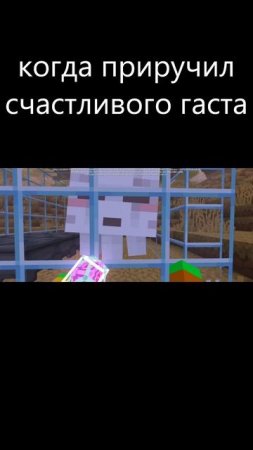 когда приручил счастливого гаста