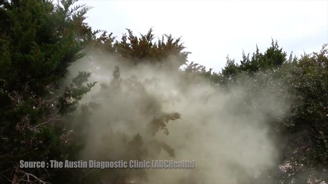 Education sexuelle des plantes, ou pourquoi je ne garde pas mes propres semences смотреть онлайн