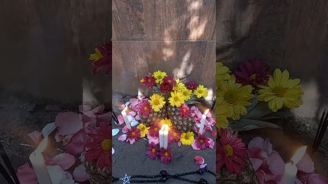 ORTA- Templo de Azúcrim! Ritual a Morail! Satanismo Tradicional Teísta! смотреть онлайн