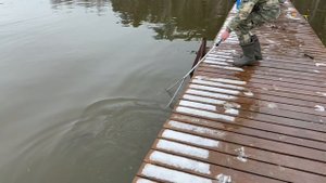 Поимки форели !!!