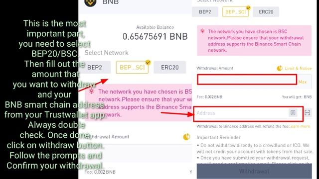 How to Activate Binance Smart Chain from Trustwallet App and Interact with PancakeSwap