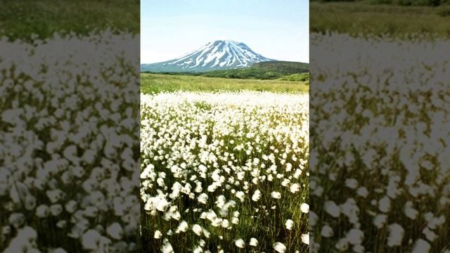 Alaska Peninsula | Wikipedia audio article смотреть онлайн