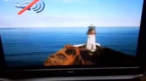 Ремонт плазменного телевизора  Tosiba  42wp56R