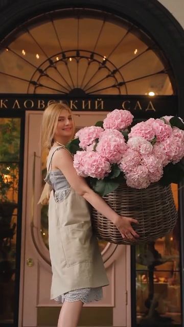 #beautiful #hydrangeas #garden #hortensia #гортензия #flower #hydrangea #paniculata #macrophylla смотреть онлайн