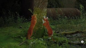 Stray. Прохождение игры #1