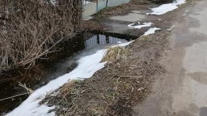 13.04.2025.Усадьба Парк Кино Ляхово. Парк Кошек.Домодедово.Затопление придомовых територий, дренажа