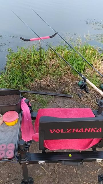 VID_20240824_193537 смотреть онлайн