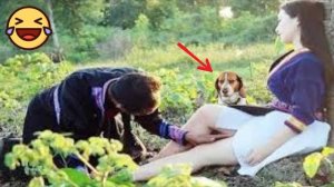 🤣 Лучшие видео о домашних животных 2025 г.