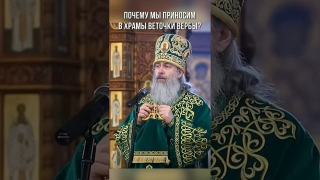 Почему мы приносим в храмы веточки вербы?