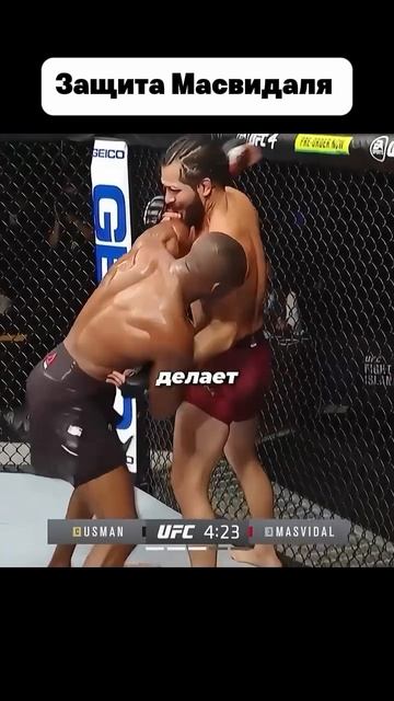 Защита Масвидаля  #мма #mma #попмма #бой