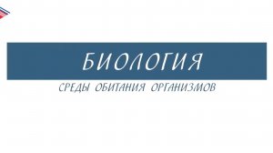 5 класс - Биология - Среды обитания организмов