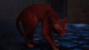 Stray. Прохождение игры #3