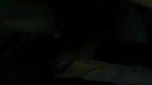 змз 402 раздвоенный выхлоп