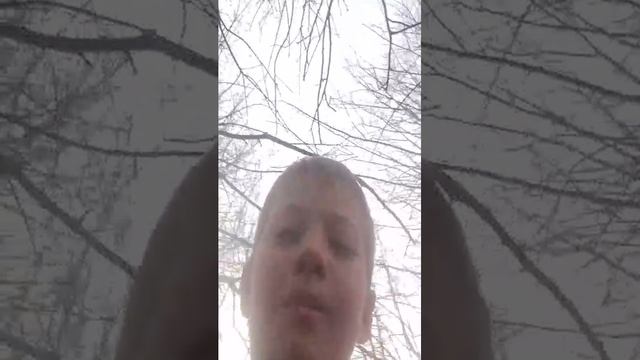 стрим на даче