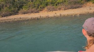 Обезьяны.mp4