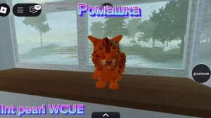 голоса котов из моей команды в ВКУЕ