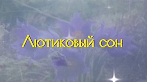 "Лютиковый сон"   В.Рих.