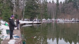 Обзор с нижнего водоёма. Клёвое место, Лосиный остров.