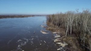 Алтай. Обь. Сезон жидкой воды открыт, 12.04.2025