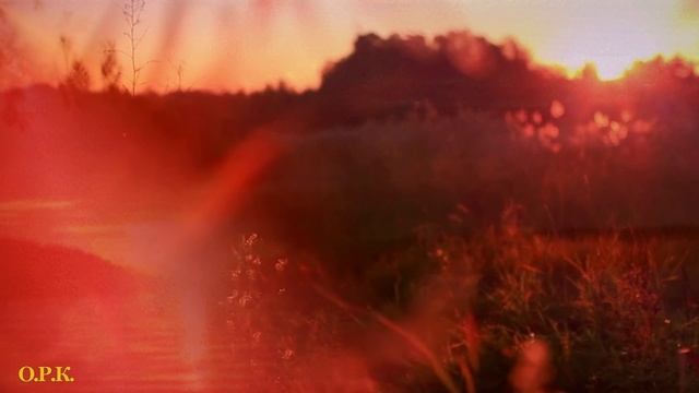 Я НАДЕЮСЬ,ЧТО УВИЖУ ЗАВТРА ВАС