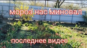 13 апреля/Мороз нас миновал/Погода налаживается
