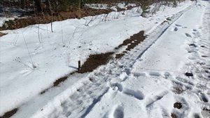 Петарды Драгун К0211