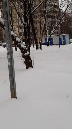 Зима на посошок - апрель 2025