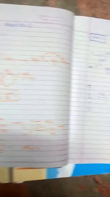 COREY FUSCH REACTION смотреть онлайн