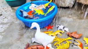 Collection of animal toys Lion Tiger Zebra Giraffe Elephant Wolf hippopotamus chimpanzee