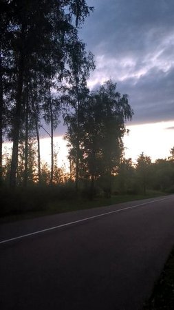 Вечер в парке