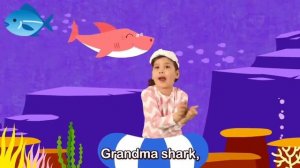 Танец маленькой акулы | #бейбишарк | песни о животных | песни для детей 🤍🌸🌺