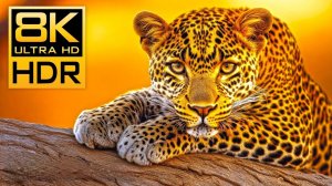 "Музыка Света | Энергия Утра и Вдохновение для Души"