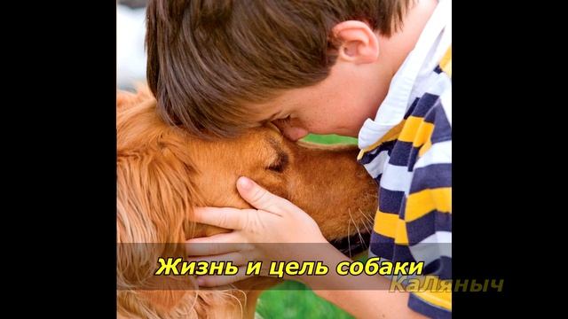 Жизнь и цель собаки | Брюс Кэмерон  3 из 7