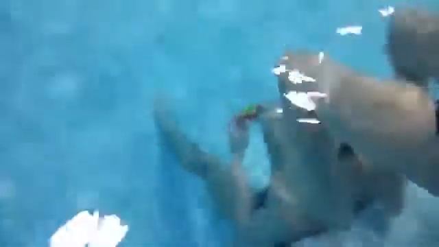 Сборка кубика рубика под водой. Спидкубер Максим Райский смотреть онлайн