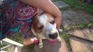 Влог от 16.07.2020