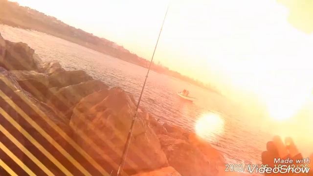 Нет ЗАКОНА ! ---- Нет РЫБЫ ! смотреть онлайн