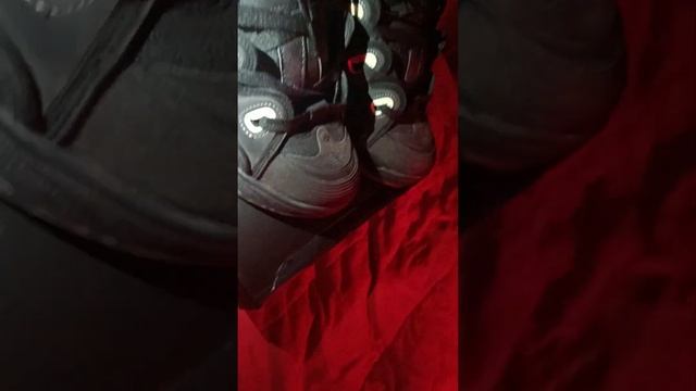 Osiris D3 skateboarding shoe just a quick look ( shoes look different because of the reflectors )
