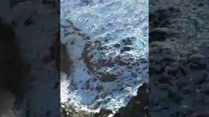 Вернуть любой ценой